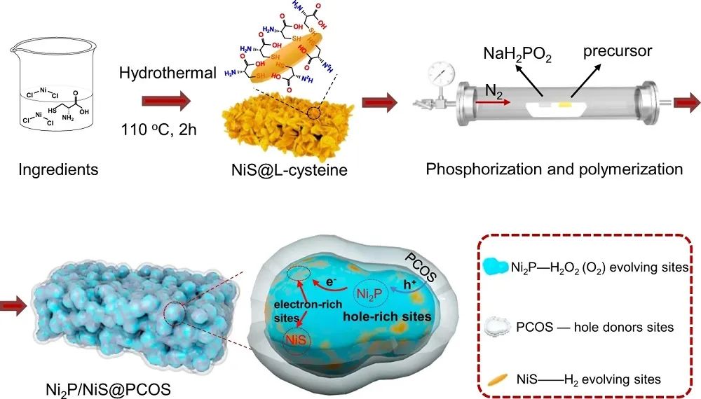 【DFT+实验】Nature子刊：Ni2P/NiS@PCOS实现高效光催化整体水分解