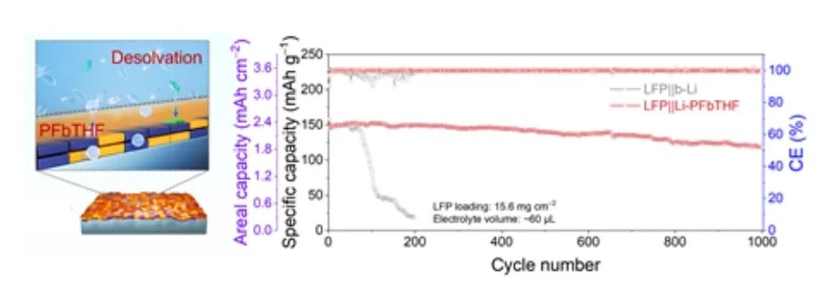 上交黄兴溢AM：动态疏溶剂电解质界面用于长寿命锂金属电池!