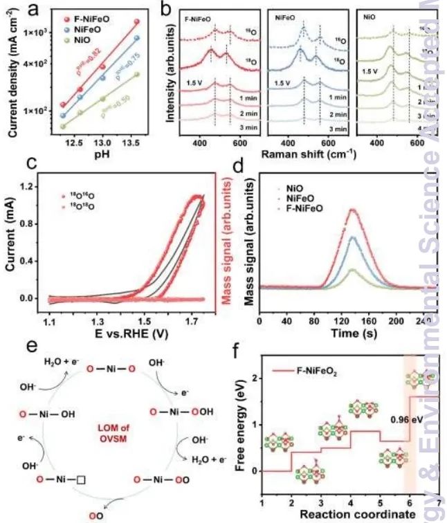 韩晓鹏/刘光/李晋平EES：NiMoO4中引入Fe3+和F−，实现大电流水/盐水稳定氧化