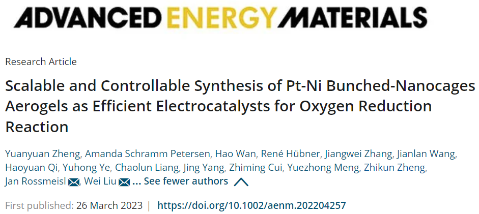 【DFT+实验】AEM：提高近10倍！Pt83Ni17 BNCs AG助力ORR