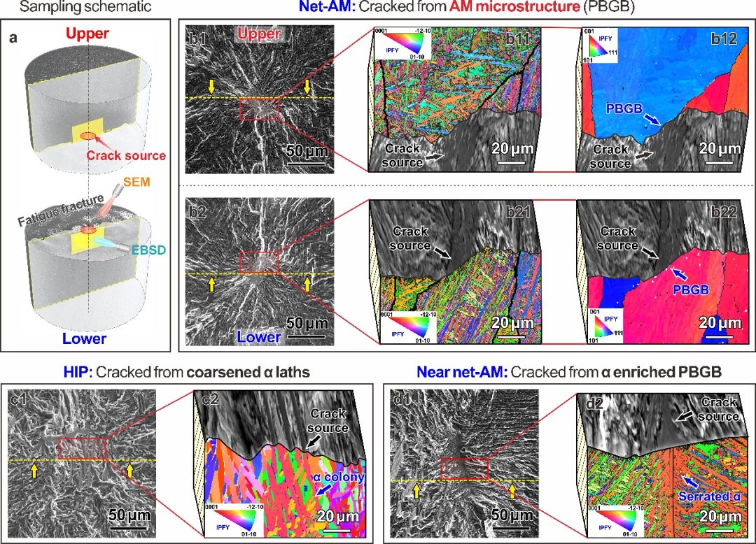 Nature：中国科学院金属研究所张哲峰团队报道3D打印钛合金超高疲劳强度