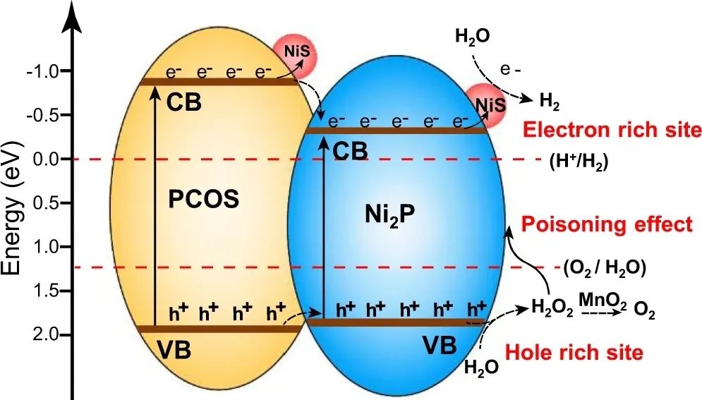 【DFT+实验】Nature子刊：Ni2P/NiS@PCOS实现高效光催化整体水分解