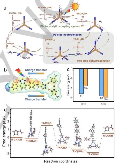 【DFT+实验】华南师大/南师大Angew：近100%转化率和选择性！Cu3-BT-COF助力H2O2光合作用和FFA光氧化