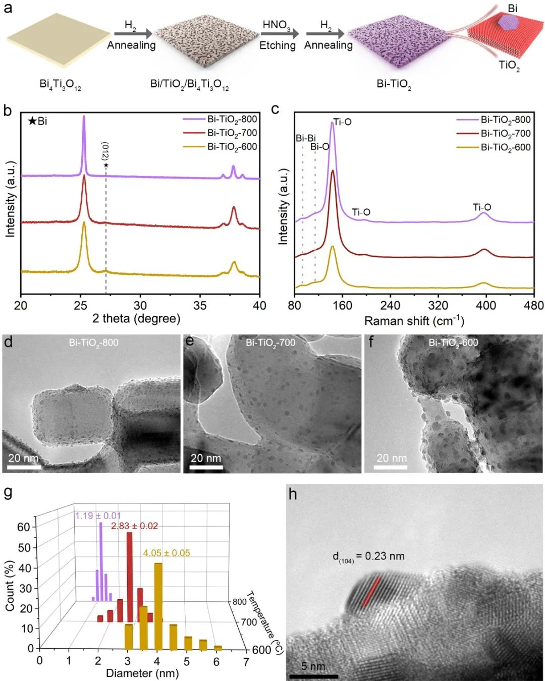 【DFT+实验】港中文Jimmy Yu课题组联合港理工黄渤龙与劳子恒 JACS：电催化二氧化碳还原中的高分散铋纳米颗粒的尺寸效应