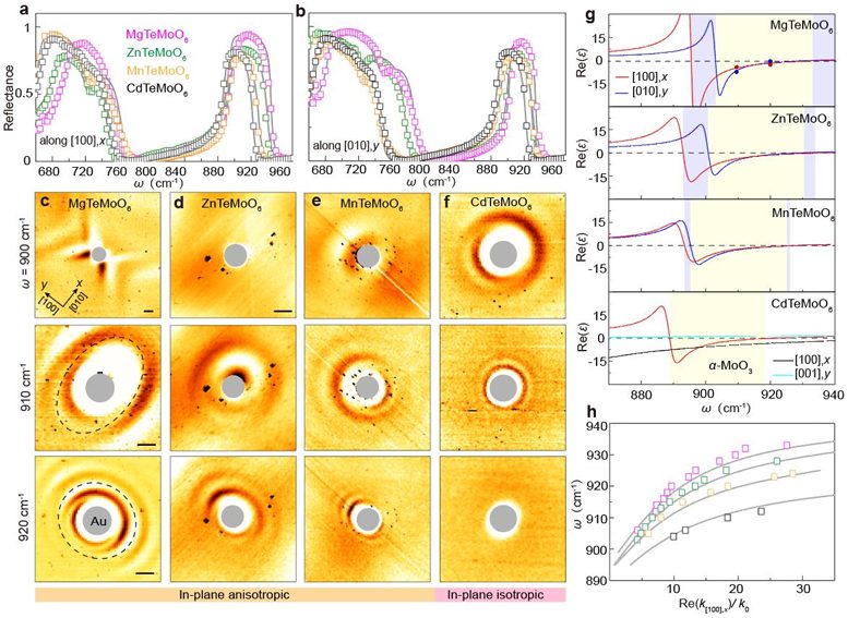 Nat Nanotech：华中科大李培宁/中国科学院福建物构所赵三根等发展系列各向异性二维材料，实现定向的光子与声子耦合传播