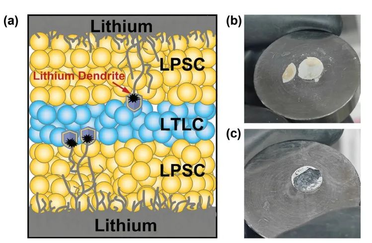 ​天大杨永安AM：LaCl3 基电解质增强 Li6PS5Cl 基固态电池