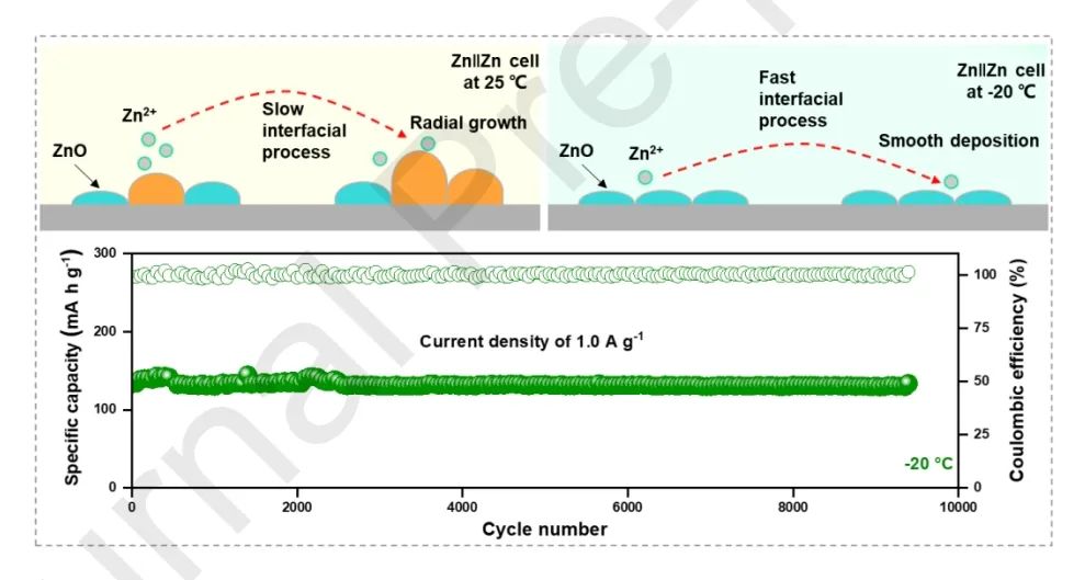 四单位联合​JEC：温度反转实现低温锌离子电池