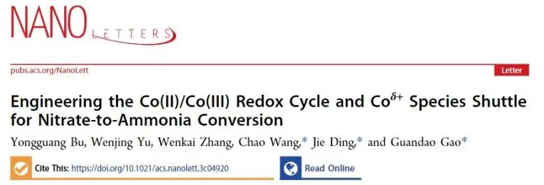 ​南大/扬大Nano Letters：电脉冲驱动Co(II)/Co(III)循环和Coδ+穿梭，促进NO3−转化为NH3