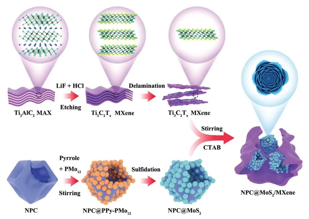 三单位联合​Adv. Sci.：中空碳和 MXene 双增强 MoS2用于大倍率和高容量储钠系统