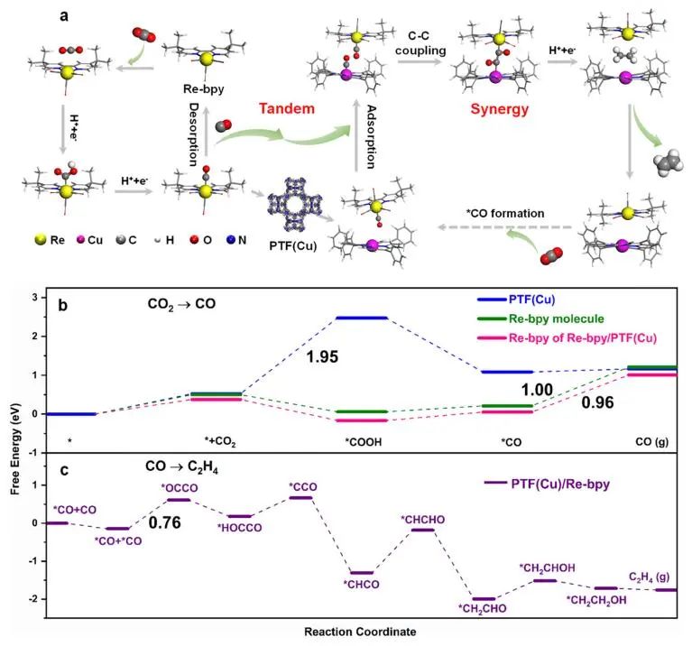 【DFT+实验】​JACS：Re-bpy/PTF(Cu)协同催化CO2制备C2H4