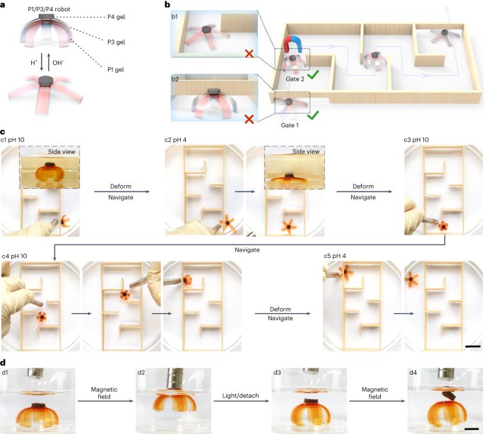 中科大，最新Nature Chemistry！