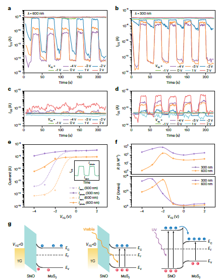 复旦大学，最新Nature Electronics！2D钙钛矿氧化物SNO助力高性能光电器件！