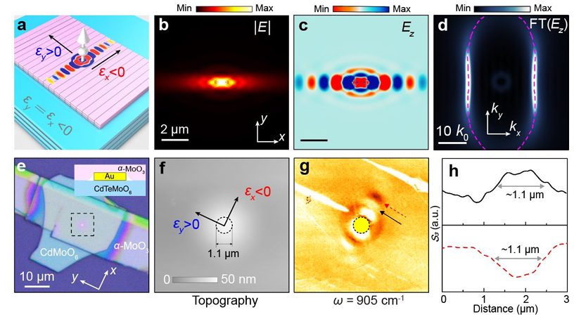 Nat Nanotech：华中科大李培宁/中国科学院福建物构所赵三根等发展系列各向异性二维材料，实现定向的光子与声子耦合传播