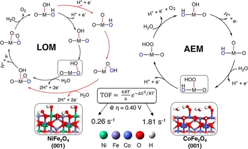 VASP金属催化计算培训：热门金属催化剂、HER、OER/ORR、CO2RR、NO3RR、NRR、d带中心、自由能、吸附能