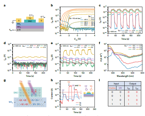 复旦大学，最新Nature Electronics！2D钙钛矿氧化物SNO助力高性能光电器件！