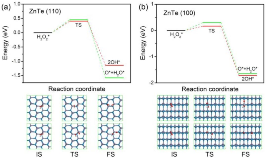 【DFT】Appl. Surf. Sci.：硫族化锌上H2O2的高效解离和形成