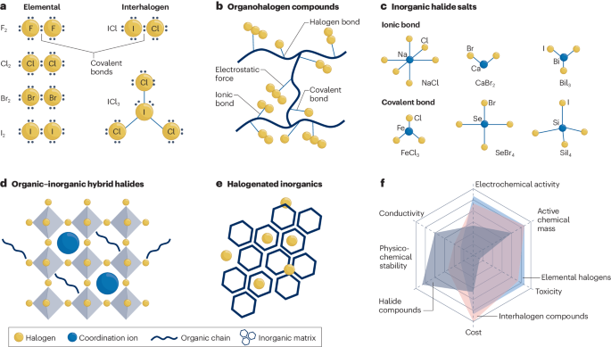 支春义/李新亮，最新Nature Reviews Chemistry！