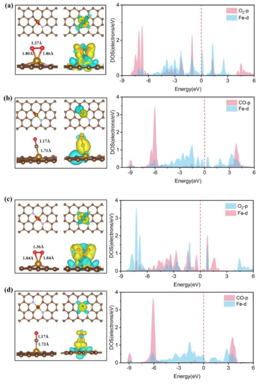 【纯计算】Mol. Catal.：具有不同配体结构的氮掺杂石墨烯催化CO氧化反应动力学的理论研究