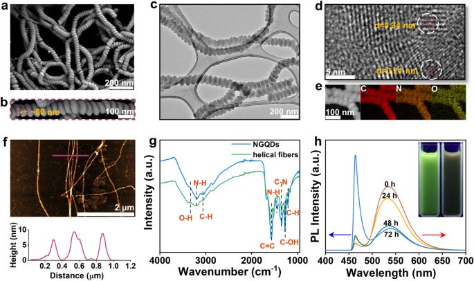 扬州大学，最新Nature子刊！