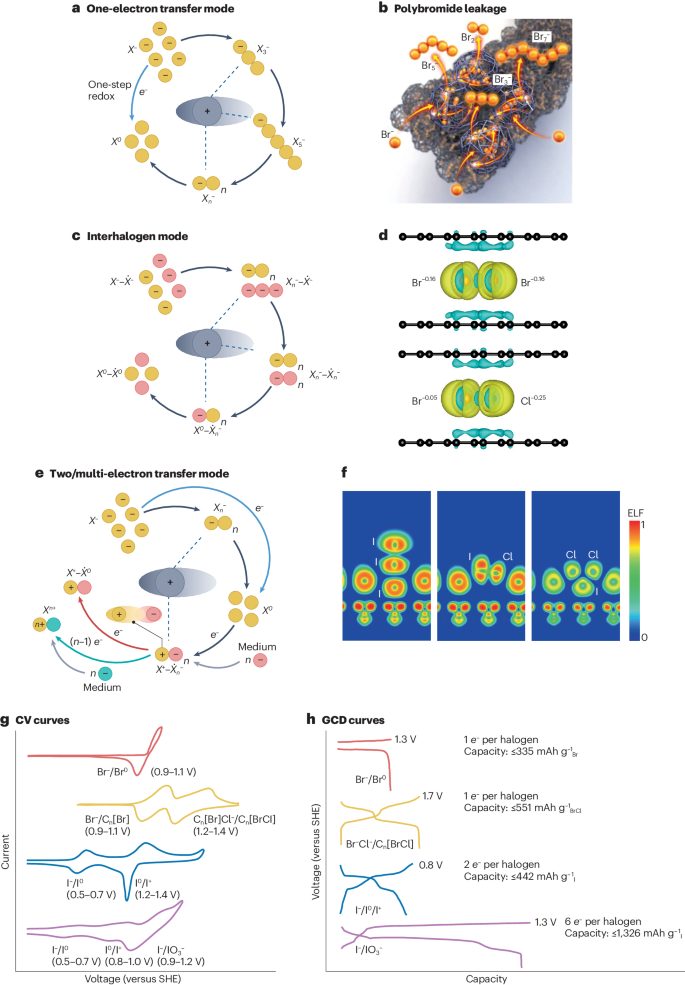 支春义/李新亮，最新Nature Reviews Chemistry！