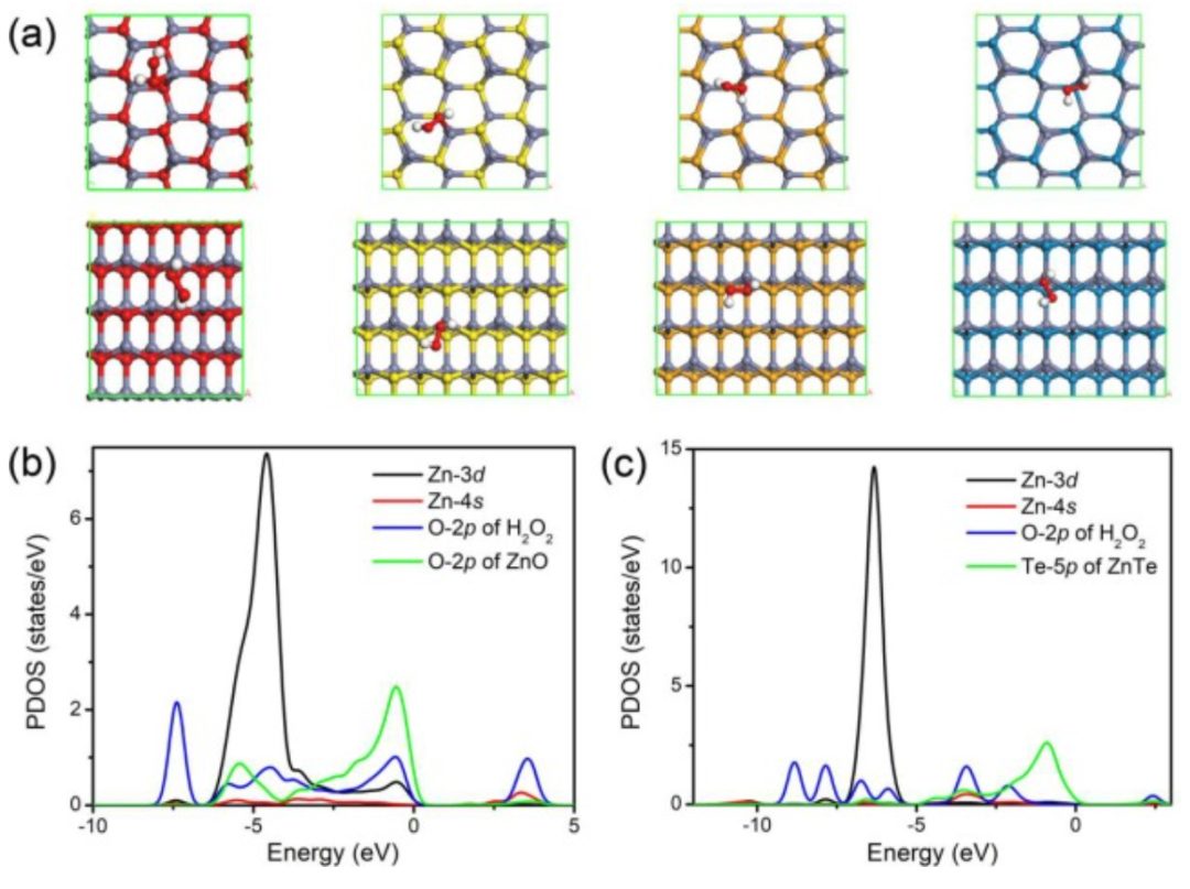 【DFT】Appl. Surf. Sci.：硫族化锌上H2O2的高效解离和形成