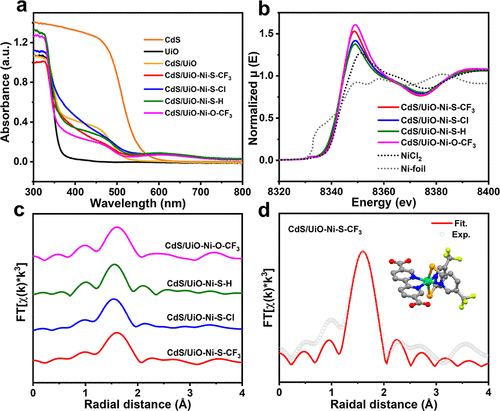 江海龙团队最新JACS：500倍效率提升！