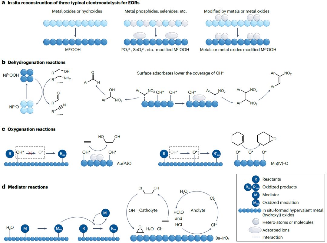 天大张兵团队，Nature Reviews Chemistry重磅综述！