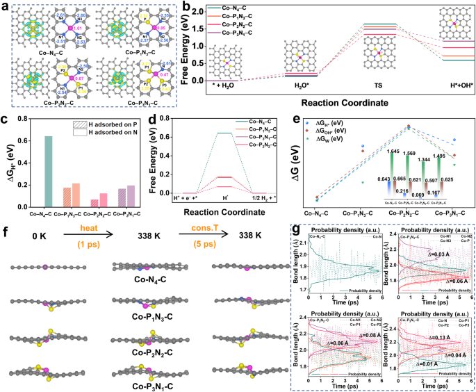 扬州大学，最新Nature子刊！