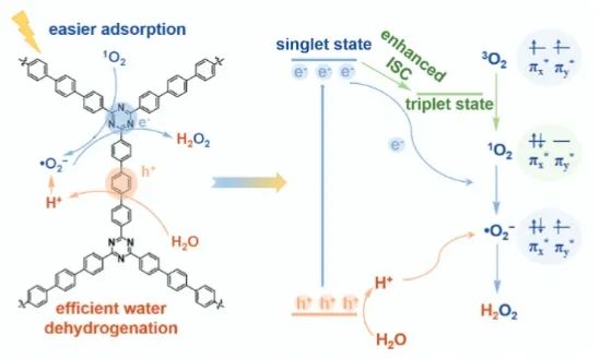 ​石大AFM: 三苯基功能化共价三嗪聚合物立大功！实现高效H2O2光合成