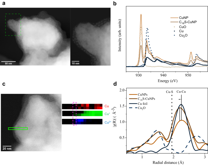 Sargent团队最新Nature子刊：通过表面配体改性，提升CO电还原选择性！