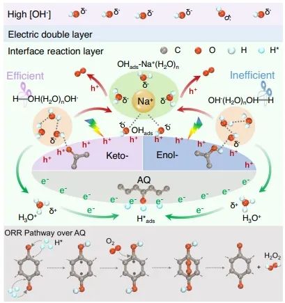 上海交大学Nature子刊：酮协同蒽醌，促进碱性条件下H2O2光合成