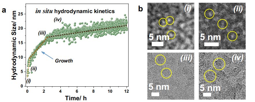 Nature子刊：超小、高缺陷四价MOF纳米晶！