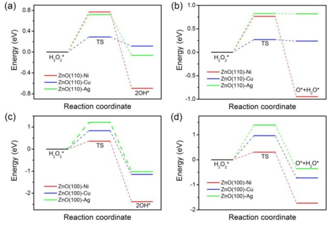 【DFT】Appl. Surf. Sci.：硫族化锌上H2O2的高效解离和形成