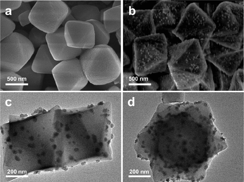 江海龙团队最新JACS：500倍效率提升！