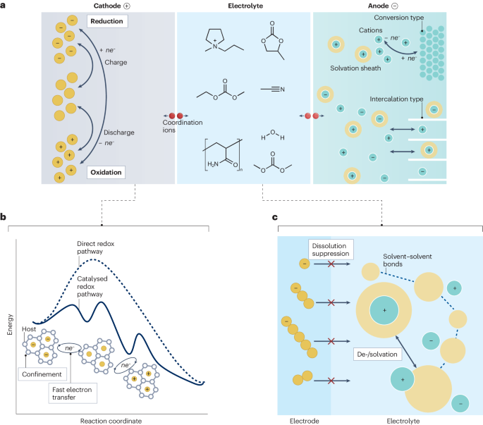 支春义/李新亮，最新Nature Reviews Chemistry！