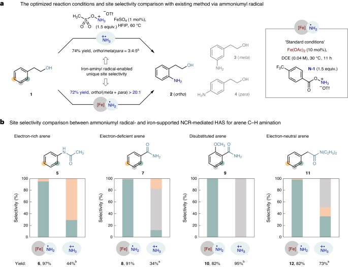 南开大学Nature Catalysis: 铁-氨基自由基实现高选择性芳烃C-H胺化反应