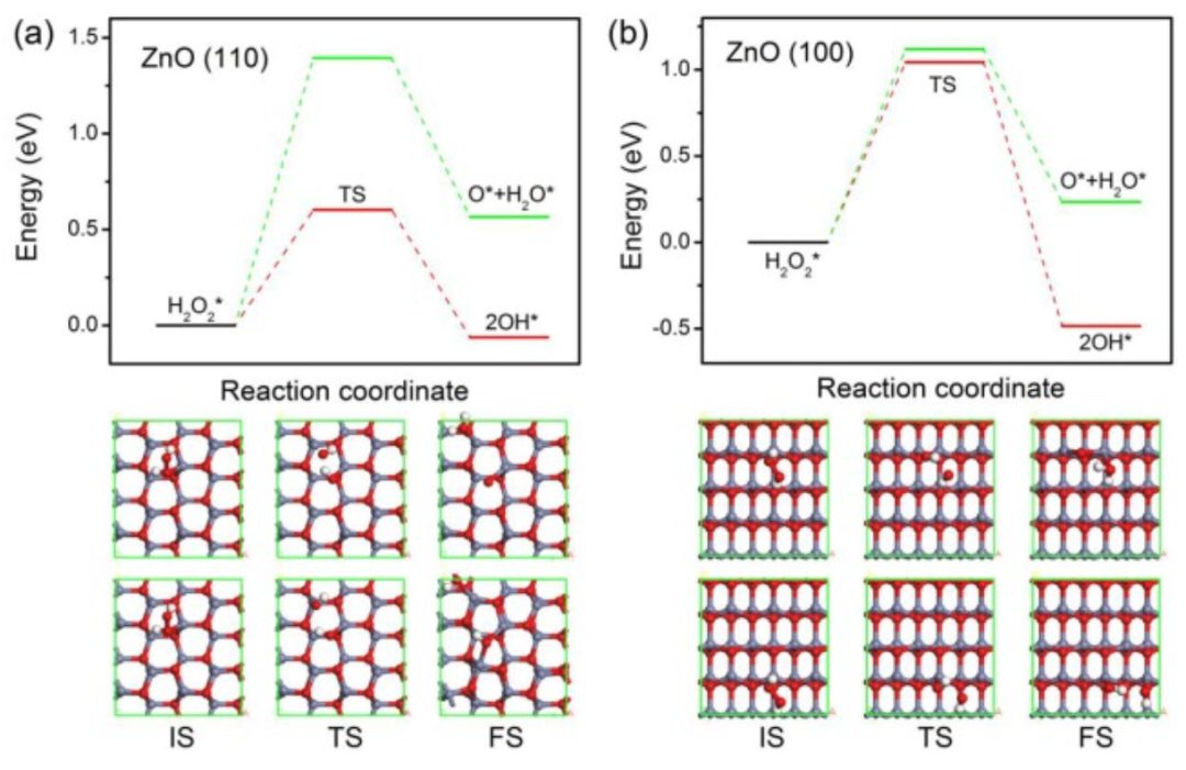【DFT】Appl. Surf. Sci.：硫族化锌上H2O2的高效解离和形成