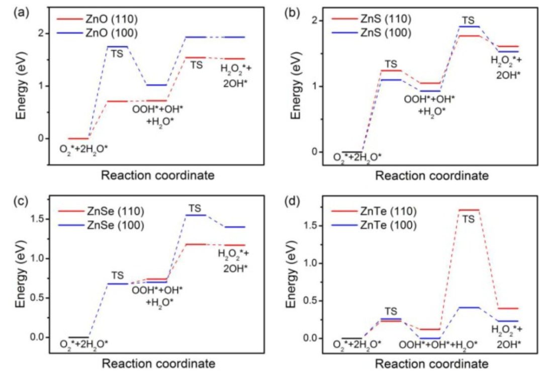 【DFT】Appl. Surf. Sci.：硫族化锌上H2O2的高效解离和形成