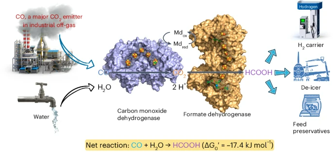 Nature Chemical Engineering：100%选择性，工业废气合成摩尔级甲酸盐！