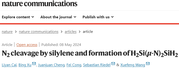 同济大学王雪峰/徐斌，最新Nature子刊！