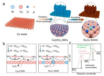 ​余桂华/李盼盼/晋兆宇JACS: 热耦合电化学策略立大功，显著增强单原子合金氧化物NO3RR活性