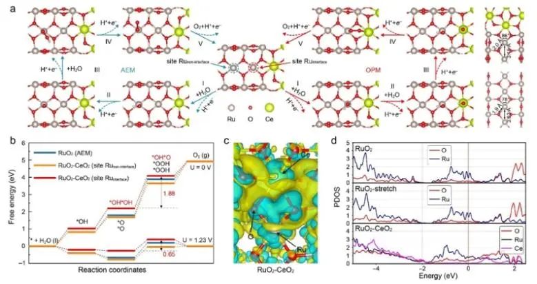 郑州大学ACS Catalysis：晶格匹配策略起大作用，构建RuO2-CeO2用于高效催化酸性水氧化