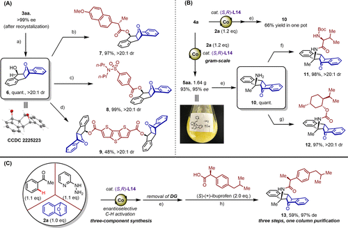 他，国家杰青/优青、青年长江！最新JACS！