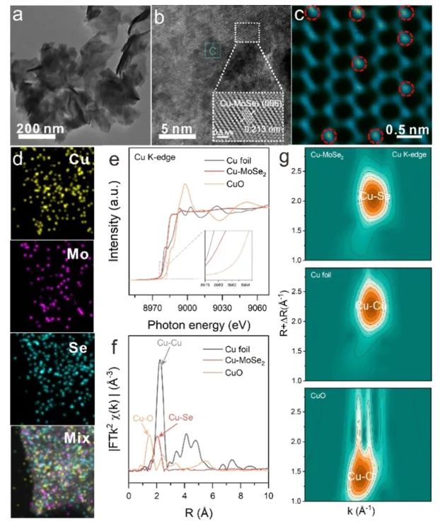 ​安师大/昆士兰科大/河大ACS Nano: 构建Cu-Mo双中心，增强NO3−与CO2电还原为尿素