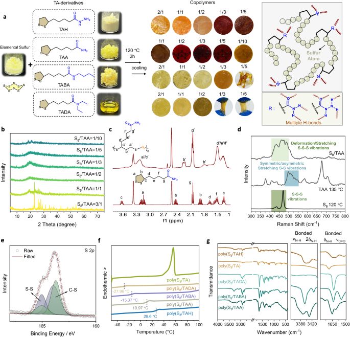 华东理工大学&诺奖得主，最新Nature子刊！