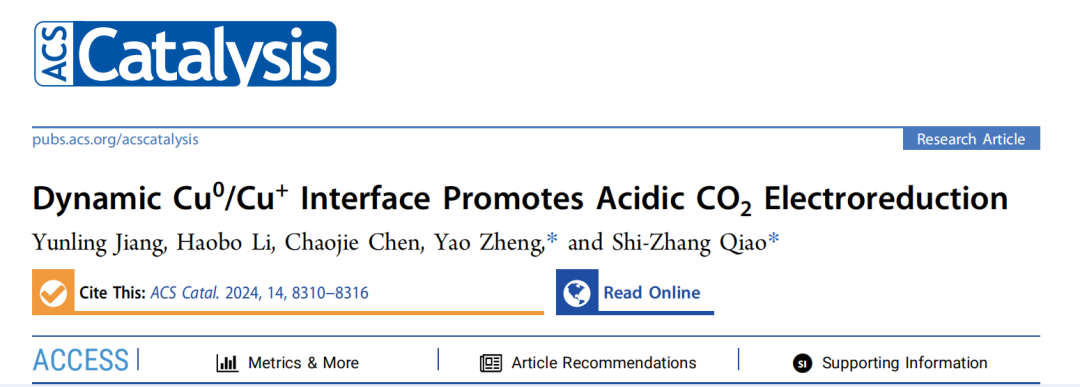 乔世璋​院士团队，最新ACS Catalysis！