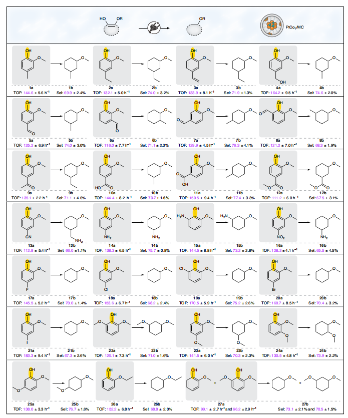 韩布兴院士，最新Nature Catalysis！「国家优青」孟庆磊共同通讯！