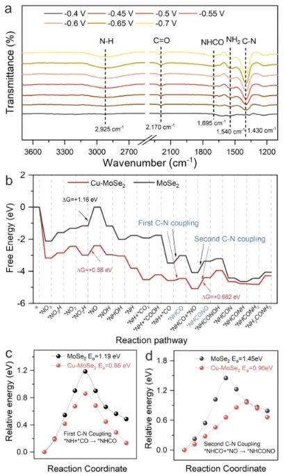 ​安师大/昆士兰科大/河大ACS Nano: 构建Cu-Mo双中心，增强NO3−与CO2电还原为尿素