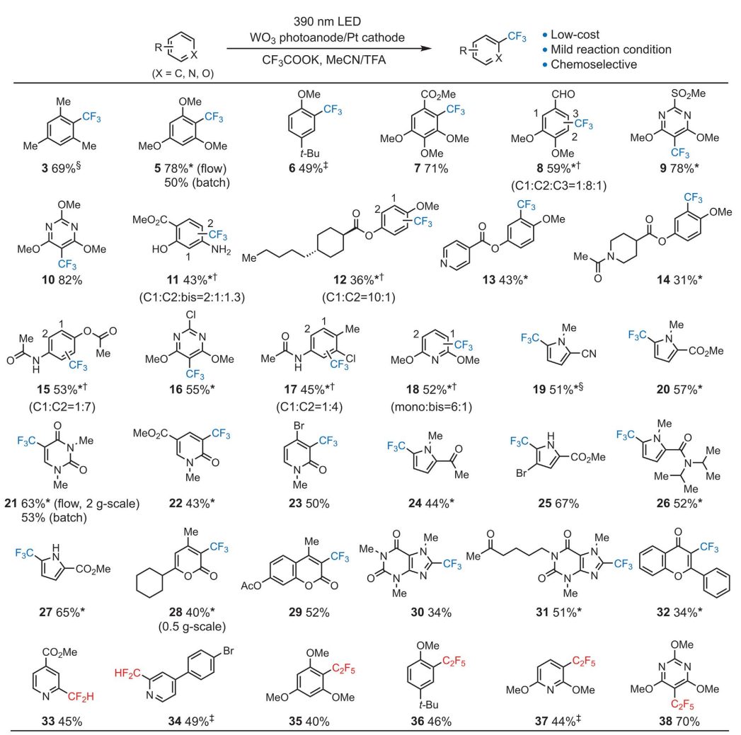 光电催化，最新Science！