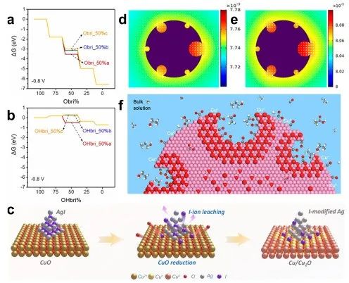 IF=46.2！海南大学田新龙/邓培林，最新Chemical Society Reviews综述！